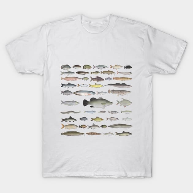 Nile River Basin Fish Group T-Shirt by FishFolkArt